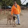 dannyharless455 - @dannyharless455 - TikTok