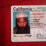 Danny Harley - @dannyharley31 - Instagram