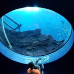 Danny Harmon - @dannyharm1 - Instagram