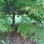 Danny Harmon - @harmon1563 - Instagram