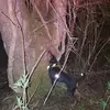 Danny Harmon - @danny.harmon39 - TikTok