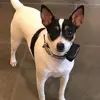 dannyharmon211 - @dannyharmon211 - TikTok