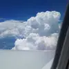 dannyharmon388 - @dannyharmon388 - TikTok