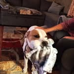 Danny Harness - @danny.harness1 - Instagram