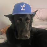 @danny_harrington2 - Instagram