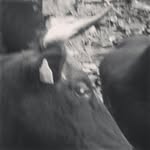 Danny Harrington - @danny_harr246 - Instagram
