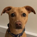 Danny Harrington - @dannyharrington43 - Instagram
