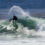 Danny Hart - @squidwatercrew - Instagram