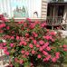 Danny Hart - Facebook
