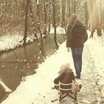 Danny Dennis - @danny.hartman.714 - Instagram