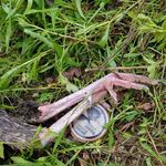 Danny Hartman - @danny.hartman.792 - Instagram