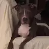 Danny Hartman - @danny.hartman - TikTok