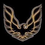 Danny Harville - @danny.harville.9887 - Instagram