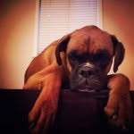 @danny_hassell - Instagram