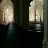 Danny Hastert - @danny.hastert - TikTok