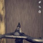 Danny Hauser - @skat.eboy101 - Instagram