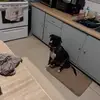 Danny hedrick - @danny.hedrick0 - TikTok