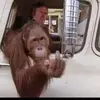 dannyhedrick - @dannyhedrick - TikTok