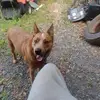 Mudd hedrick - @danny.hedrick97 - TikTok