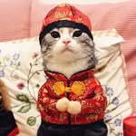 danny hoang - @danny.hoang07 - Instagram