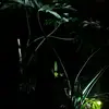 Danny Hoang - @dannyhoaang1 - TikTok