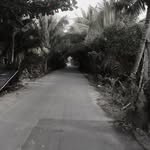 Danny Long - @dannyhoanglong - Instagram