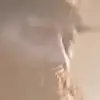 danny Hoffman - @danny_13456 - TikTok