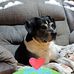 Danny Hogan - Facebook