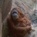Danny Holmquist - Facebook