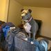 Dan Honaker - Facebook