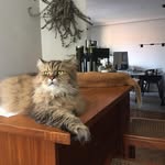 Danny Hong - @newsiis00 - Instagram