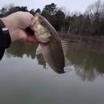 Danny Hopper - @dblessedmanhopper - Instagram