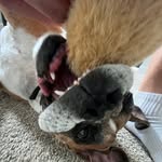 Danny Horn - @dannyhorn_ - Instagram