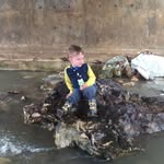 Danny Horn - @nf_wildkat_02 - Instagram