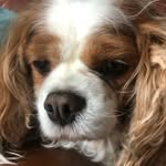 @Dannyhorn - @danny_horn310 - Instagram