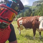 Danny Howe - @danny.howe.3597 - Instagram