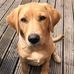 Danny Howes - Facebook