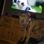 Danny Howes - @howes_danny - Instagram