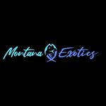 Danny Howlett - @montana.exotics - Instagram