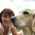 Danny Hoyle - @danny.hoyle.9 - Instagram