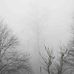 Danny Hsiao - Facebook