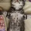 Danny Hui - @dannyhui - TikTok