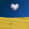 dannyhulse443 - @dannyhulse443 - TikTok