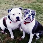Danny Hurst - @robert.hurst71 - Instagram