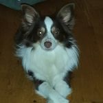 Danny Hurst - @dhurst012 - Instagram