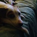 Danny Hurst - @danny.hurst.526 - Instagram