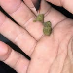 @dannyi_gonzzz - Instagram