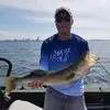 Danny Ingham - @danny.ingham1 - TikTok