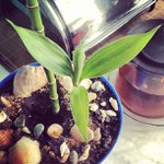 Danny Ivey - @kiwishardway - Instagram