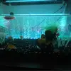 Danny - @dannyjasper5 - TikTok